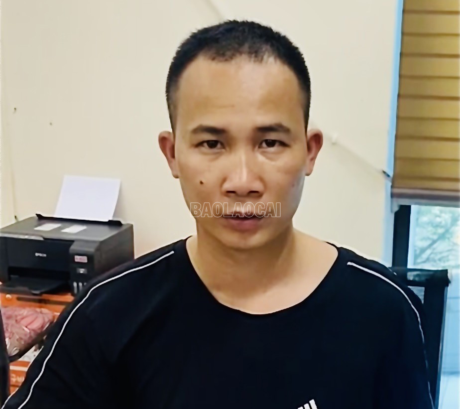 Đối tượng Đinh Hoài Nam. baolaocai-c_anh-2-2918.jpg