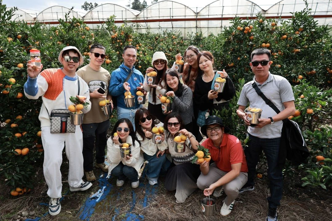 Hàn Quốc dự kiến cấp visa 10 năm cho du khách Việt Nam.