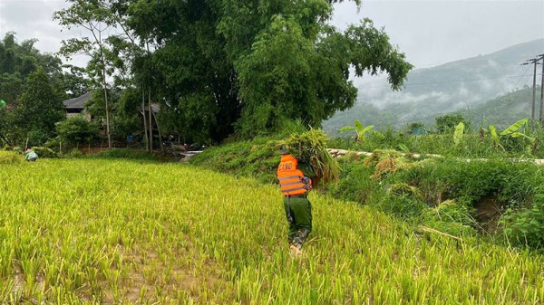 Công an xã Dương Quỳ chủ động ứng phó, giúp dân khắc phục hậu quả mưa lớn. Công an xã Dương Quỳ chủ động ứng phó, giúp dân khắc phục hậu quả mưa lớn.