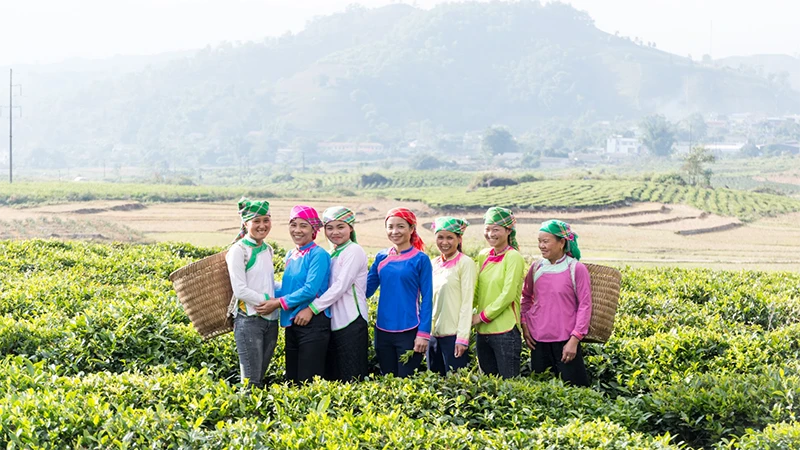 Những người phụ nữ mạnh dạn làm chủ tương lai của mình.