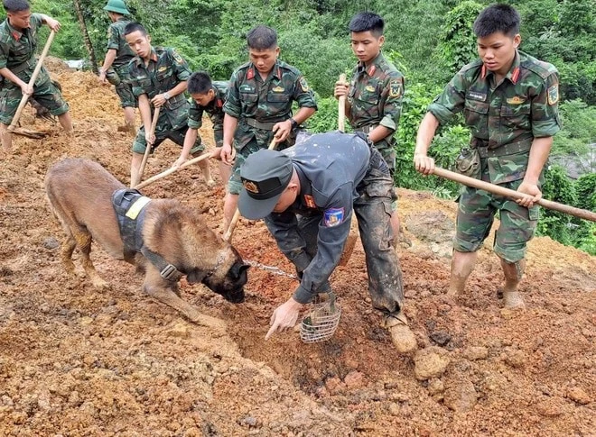 Các lực lượng chức năng đưa chó nghiệp vụ vào hiện trường vụ sạt lở đất trên Quốc lộ 34 làm 11 người chết tại tỉnh Hà Giang tìm kiếm người mất tích.