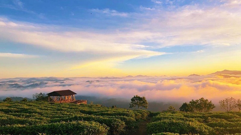 Đà Lạt ngày thu về - Chìm đắm trong sự tĩnh lặng của cảnh sắc nên thơ. Đà Lạt ngày thu về - Chìm đắm trong sự tĩnh lặng của cảnh sắc nên thơ.