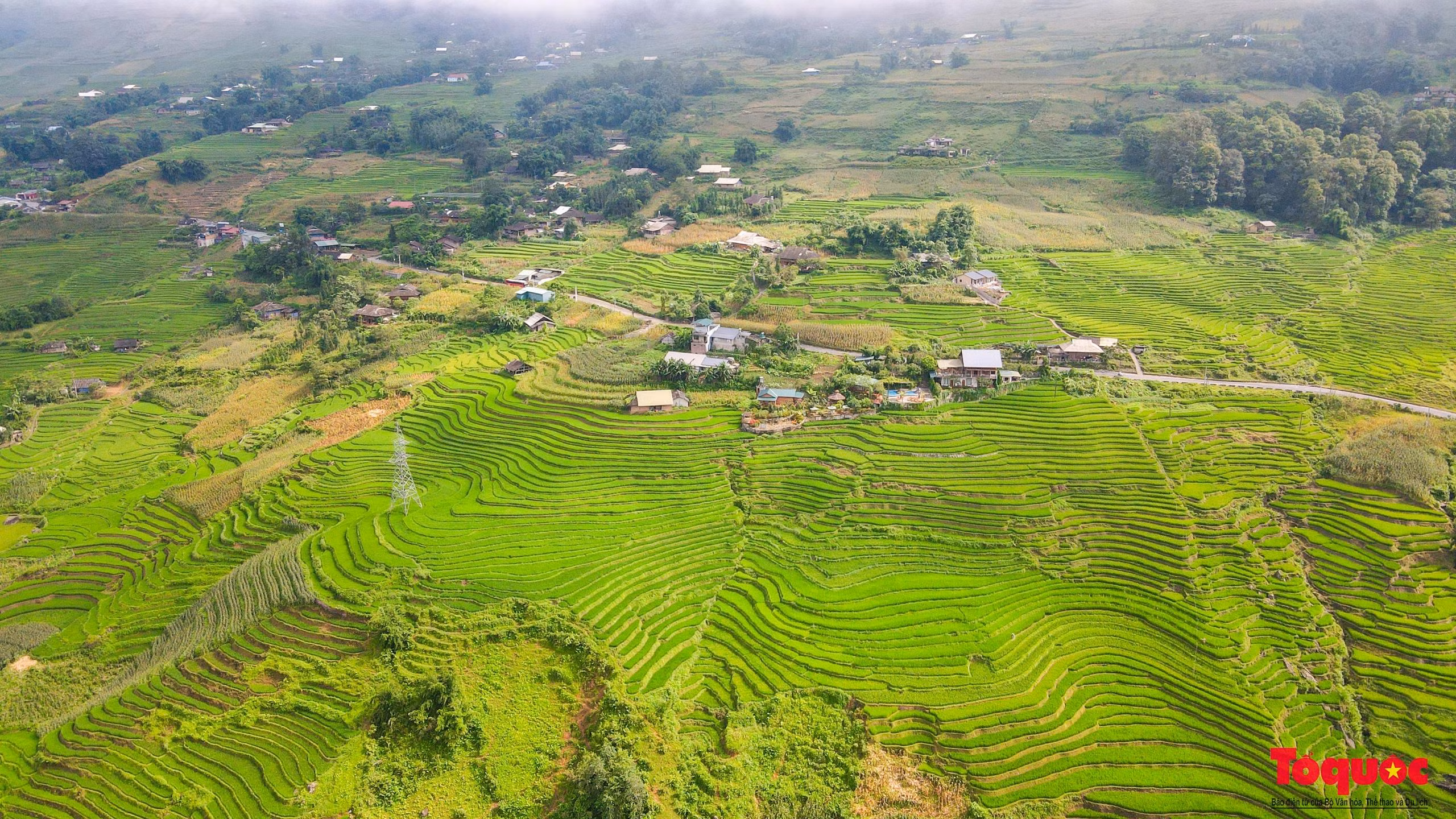 Nhìn từ trên cao, các thửa ruộng bậc thang trông vô cùng thích mắt.