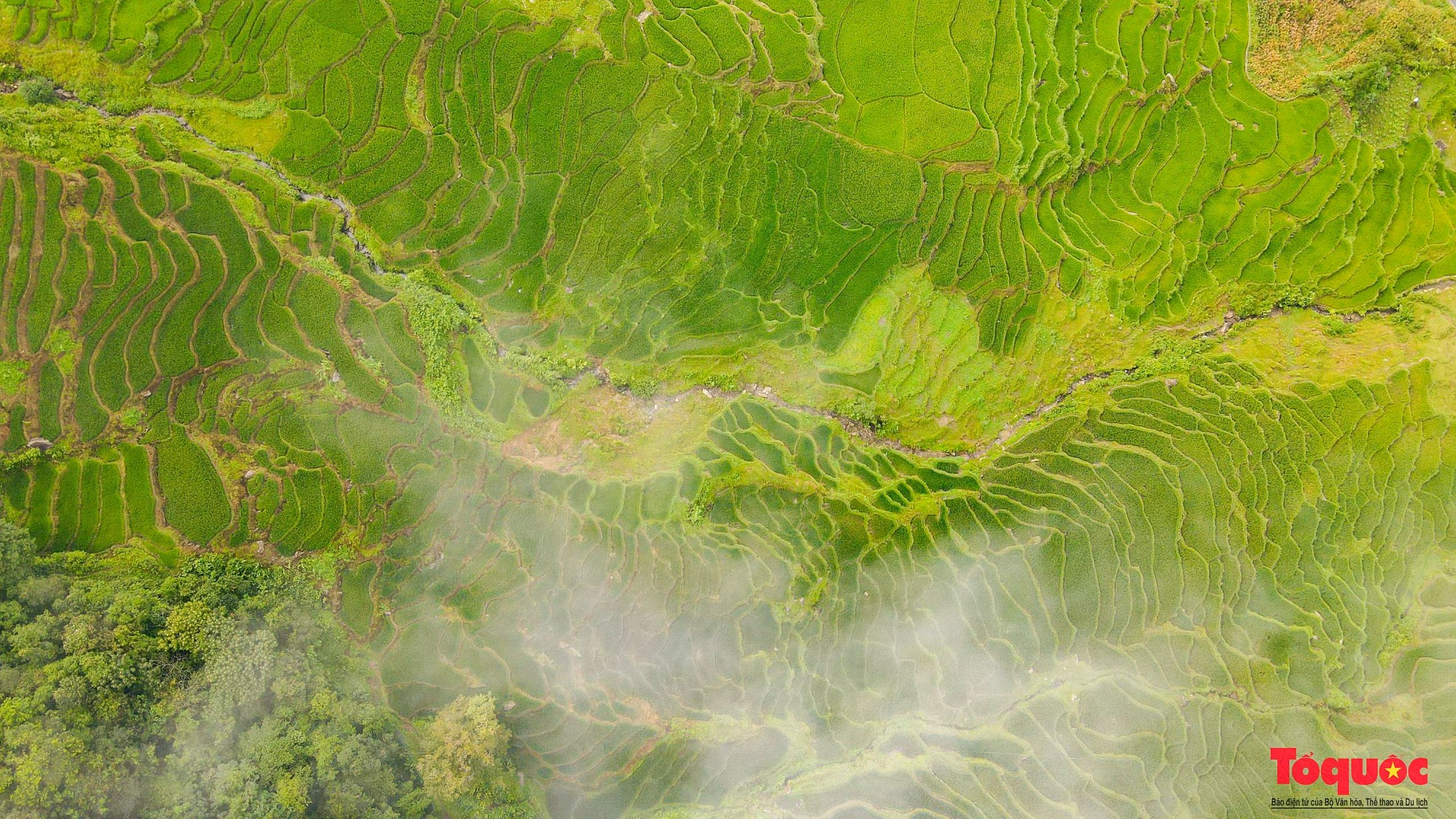 Cánh đồng ruộng bậc thang xếp thành chồng chồng, lớp lớp, hùng vĩ và nên thơ giữa đại ngàn Tây Bắc.