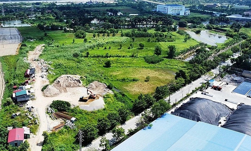 Bộ Nông nghiệp và Môi trường lập các kênh tiếp nhận thông tin về vi phạm, sử dụng đất đai.