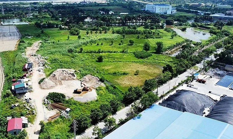 Bộ Nông nghiệp và Môi trường lập các kênh tiếp nhận thông tin về vi phạm, sử dụng đất đai.