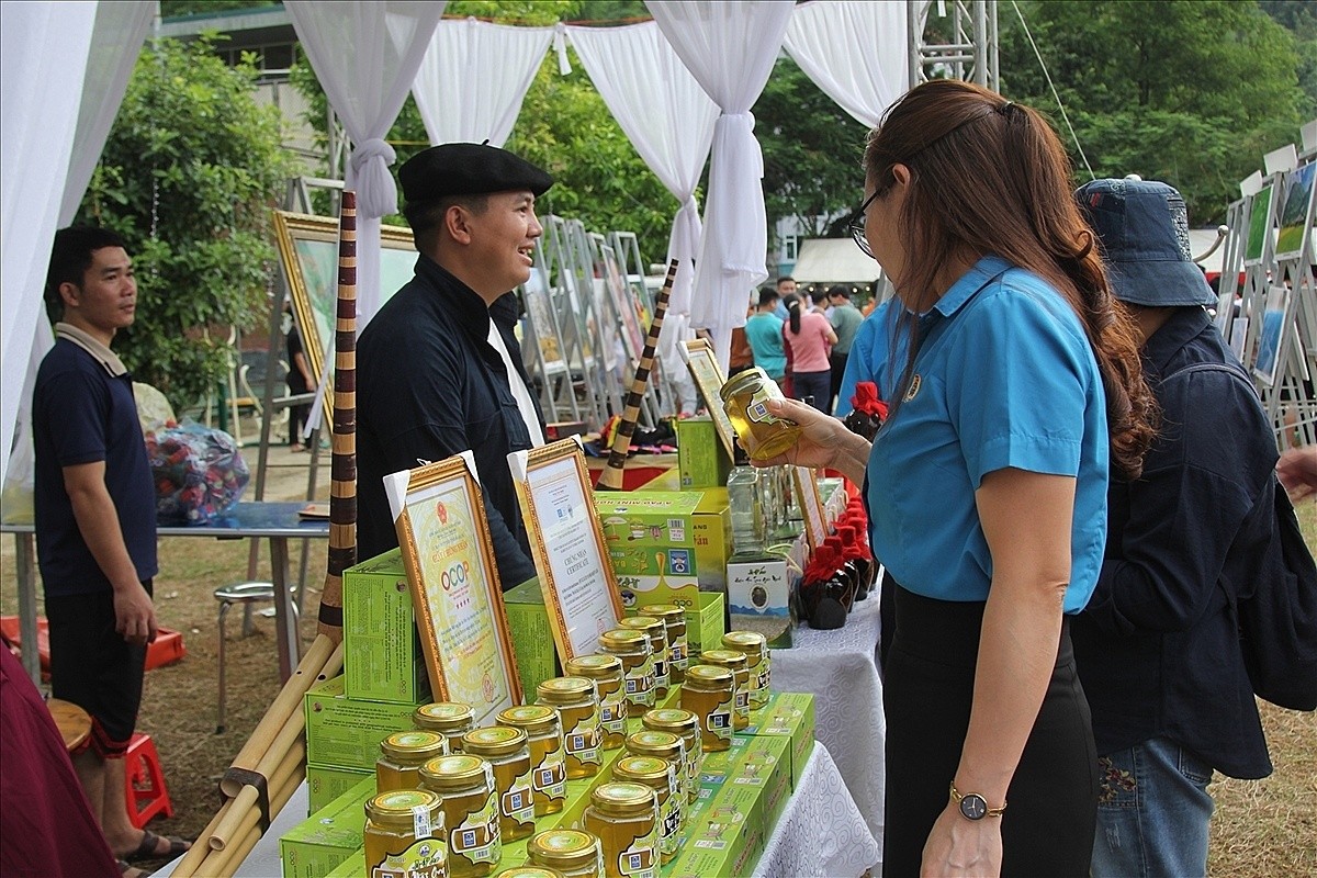 Nhiều đồng bào DTTS ở Bảo Yên đã thành lập và lãnh đạo các HTX. Nhiều đồng bào DTTS ở Bảo Yên đã thành lập và lãnh đạo các HTX.