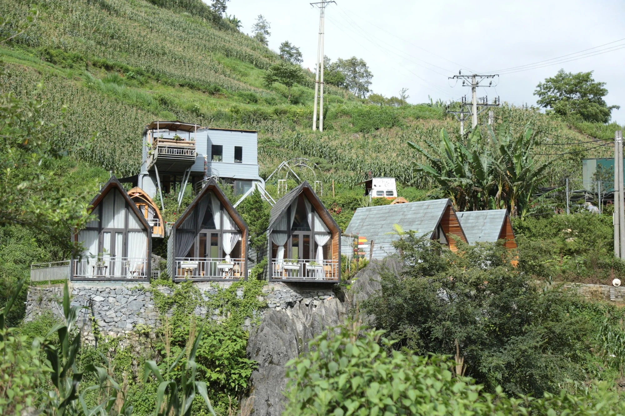 Homestay kết hợp với trồng cây ăn quả, hoa hồng đang mở ra hướng phát triển du lịch kết hợp trải nghiệm du lịch tại Sa Pa.