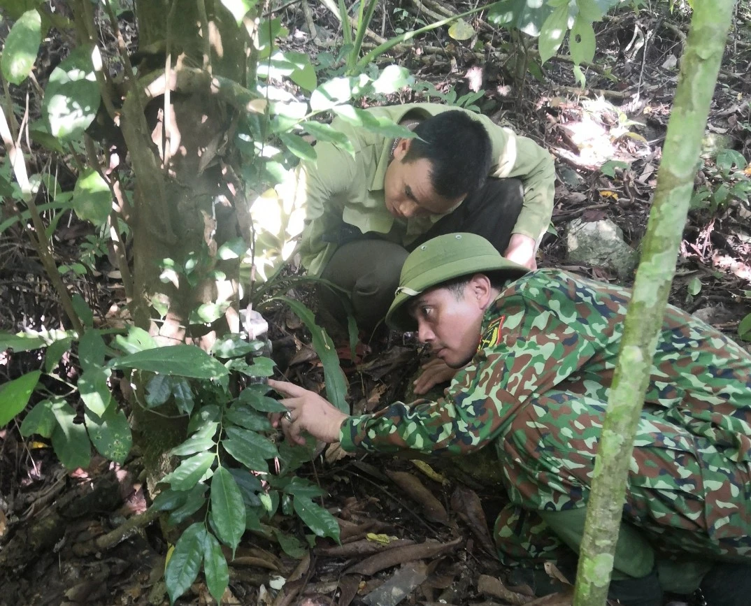 Cán bộ BQL Khu Bảo tồn thiên nhiên Pù Huống trong một chuyến đi đặt bẫy ảnh.