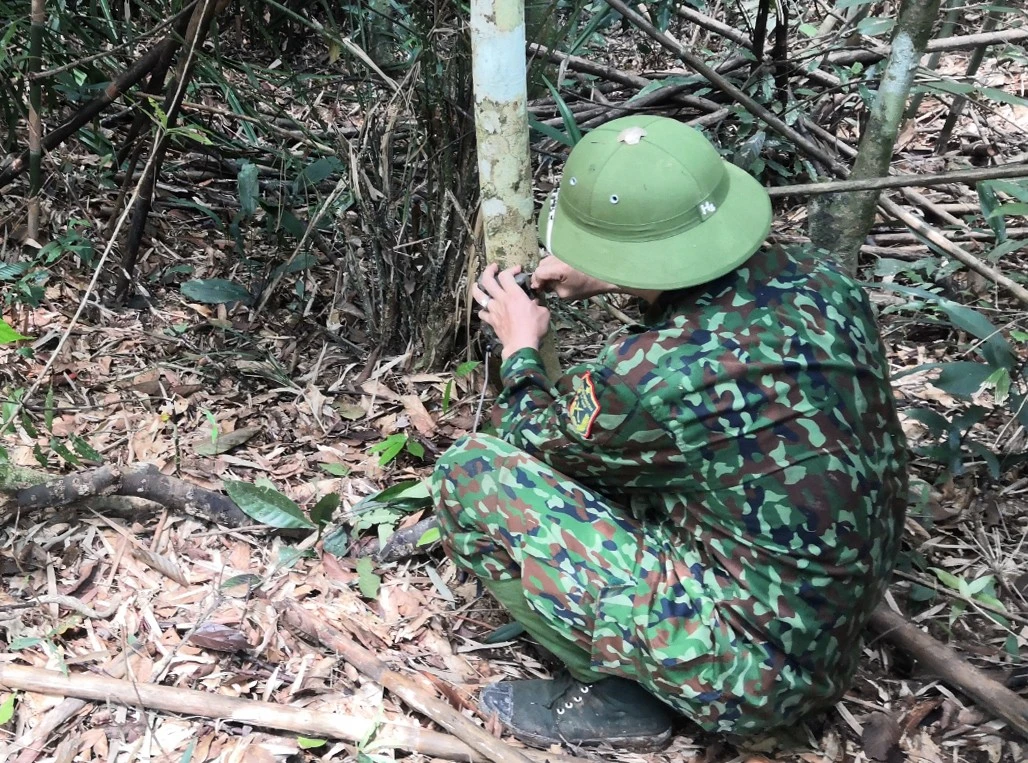 Lắp đặt bẫy ảnh trong đại ngàn Khu Bảo tồn thiên nhiên Pù Huống.