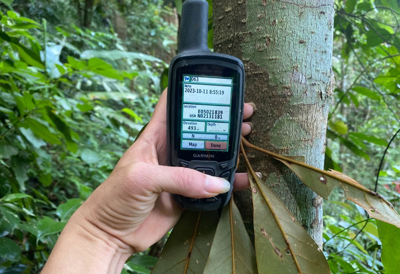 Định vị vị trí tuyến khảo sát đa dạng sinh học.