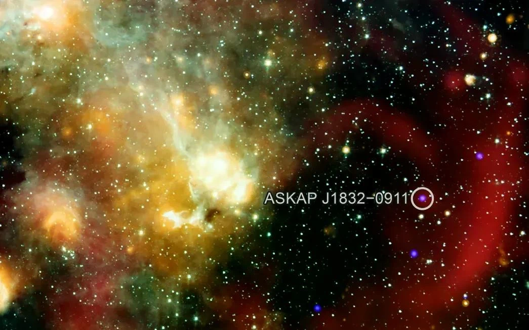 Hình ảnh tổ hợp cho thấy vật thể ASKAP J1832-0911 qua tia X, sóng vô tuyến và ánh sáng hồng ngoại.