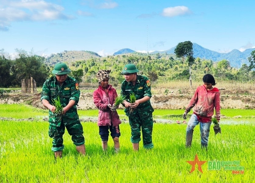 Cán bộ Đồn Biên phòng Hướng Phùng (Ban chỉ huy Bộ đội Biên phòng tỉnh Quảng Trị) hướng dẫn người dân đưa giống lúa mới vào sản xuất.