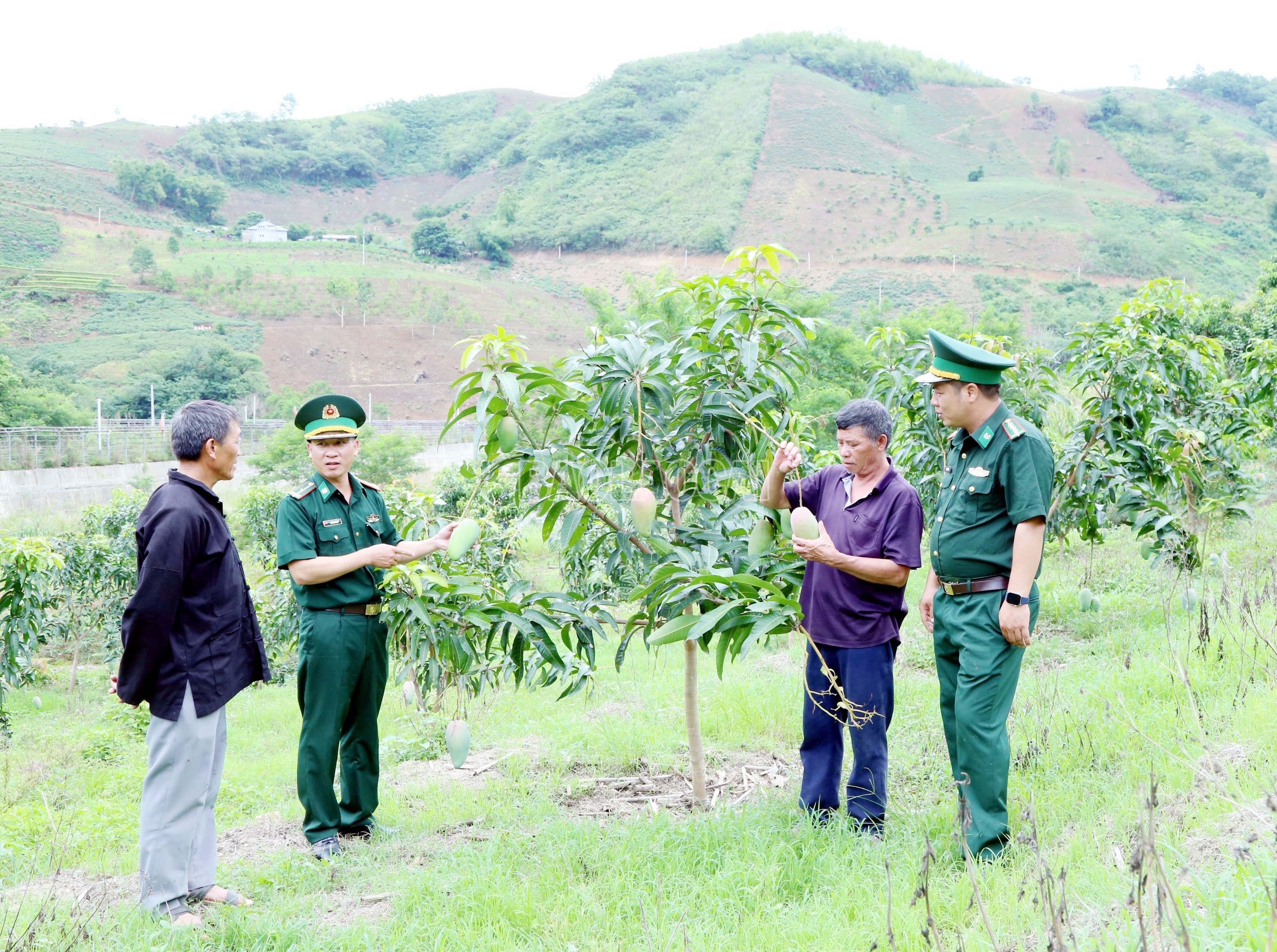 Bộ đội biên phòng thường xuyên bám địa bàn, hướng dẫn người dân phát triển kinh tế. a8.jpg