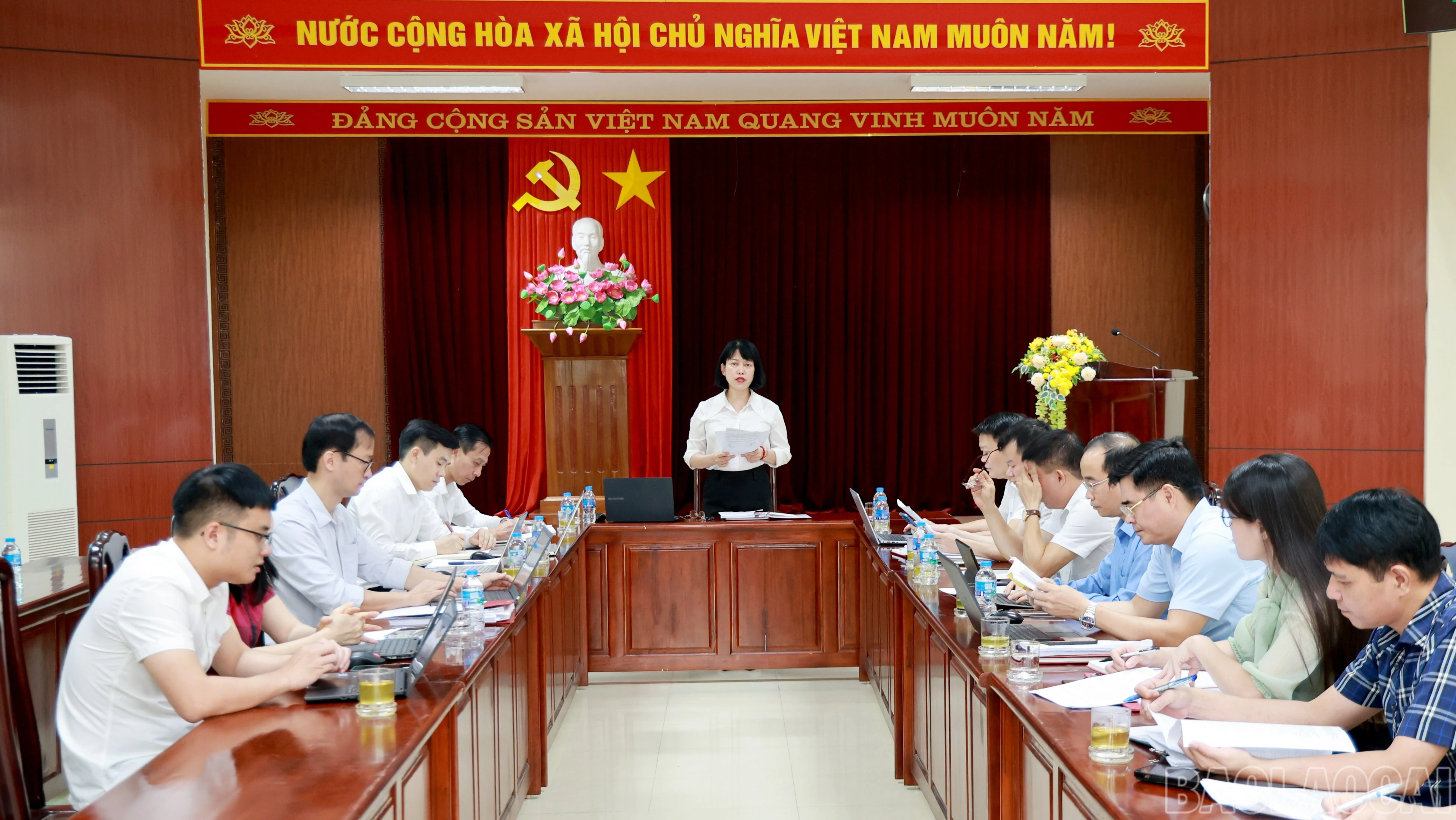 baolaocai-tl-060a8187.jpg