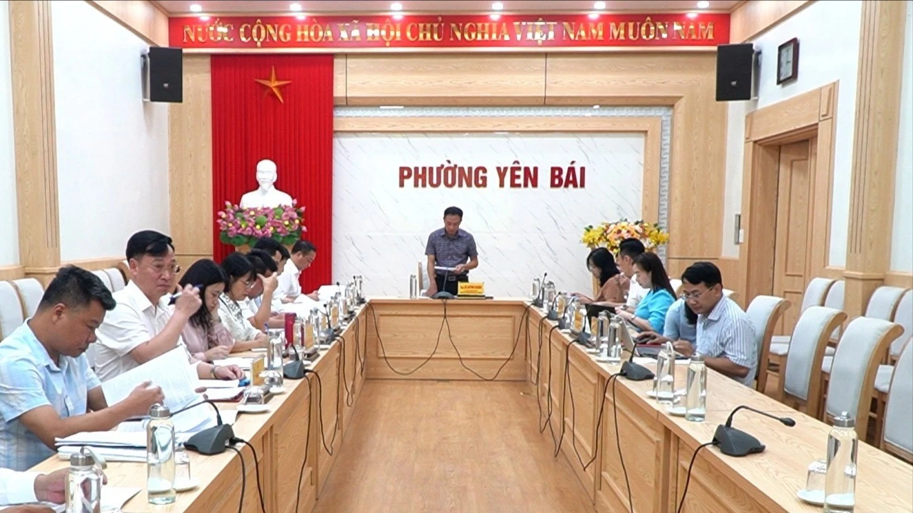 phung-toan-canh-buoi-lam-viec.jpg