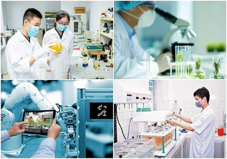 Mô hình tăng trưởng mới phải dựa trên năng suất, tri thức, công nghệ và đổi mới sáng tạo.