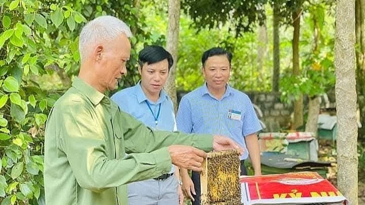 Người cao tuổi phát triển kinh tế gia đình.