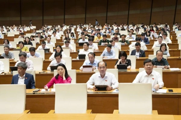 Các đại biểu dự phiên họp.