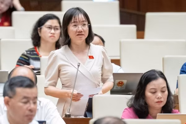 Đại biểu Thái Thị An Chung (đoàn Nghệ An) phát biểu tại phiên họp.