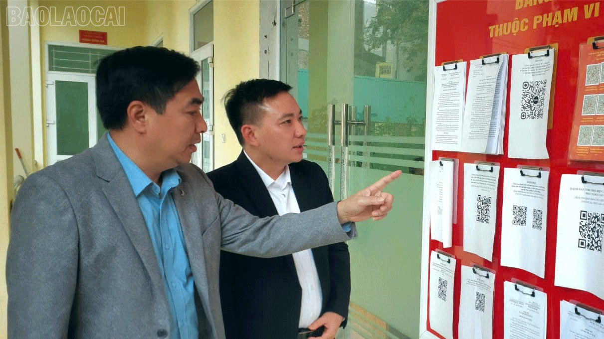 baolaocai-tl_kiem-tra.jpg