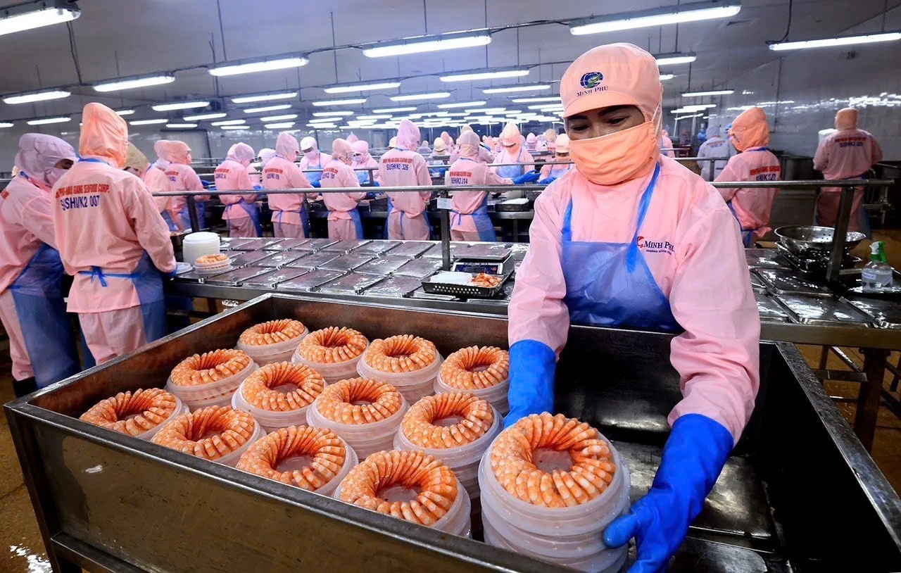 Đóng gói mặt hàng tôm xuất khẩu tại Hậu Giang.