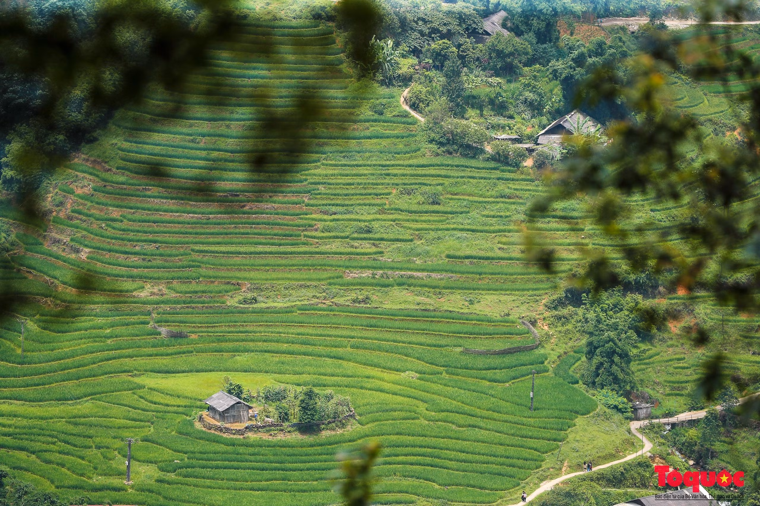 Ở độ cao 1.650 mét, thị trấn Sapa nằm ẩn mình trong một thung lũng được bao quanh bởi dãy núi Hoàng Liên Sơn.