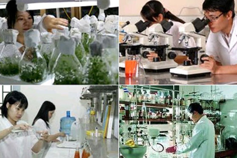 Xây dựng các chính sách ưu đãi, hỗ trợ cho doanh nghiệp KH&CN. Xây dựng các chính sách ưu đãi, hỗ trợ cho doanh nghiệp KH&CN.