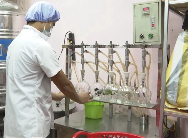 Một số doanh nghiệp, hợp tác xã đã chủ động đầu tư vào khâu sản xuất từng bước đáp ứng nhu cầu trong nước và xuất khẩu.