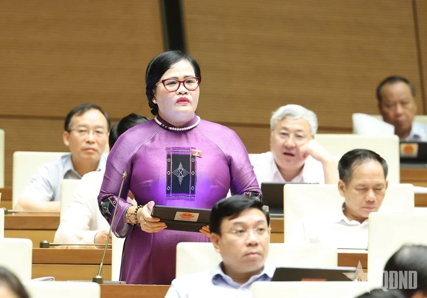 Đại biểu Nguyễn Thị Sửu (đoàn TP Huế) thảo luận tại hội trường.
