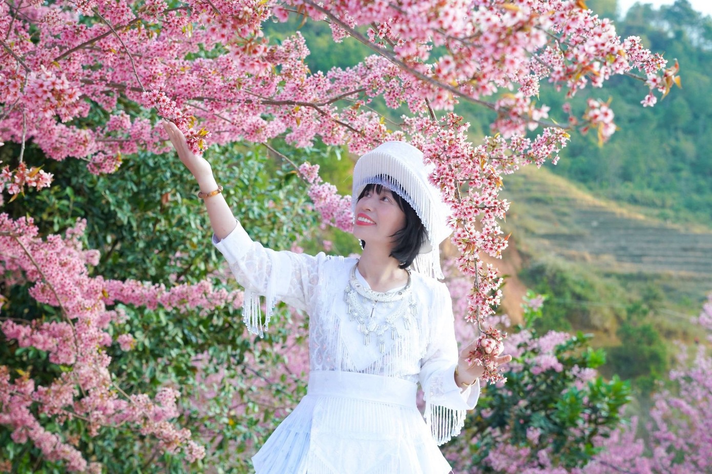 Hoa tớ dày bung nở rực rỡ khắp các triền đồi. Ảnh: Hờ A Rùa.