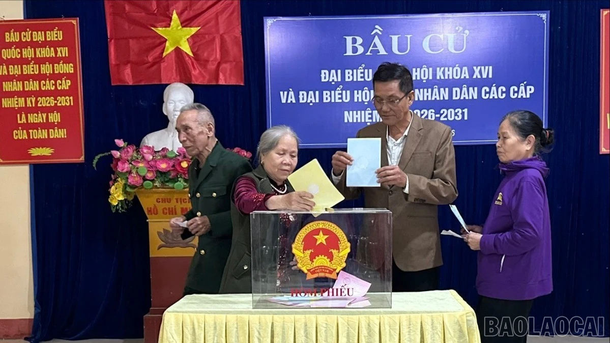 Cử tri bỏ phiếu bầu.