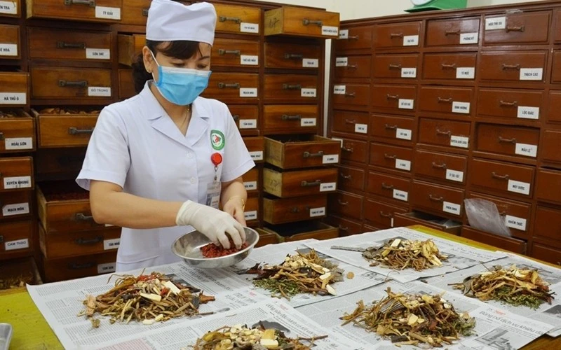 Phát huy y học cổ truyền để nâng tầm công nghiệp dược Việt Nam.