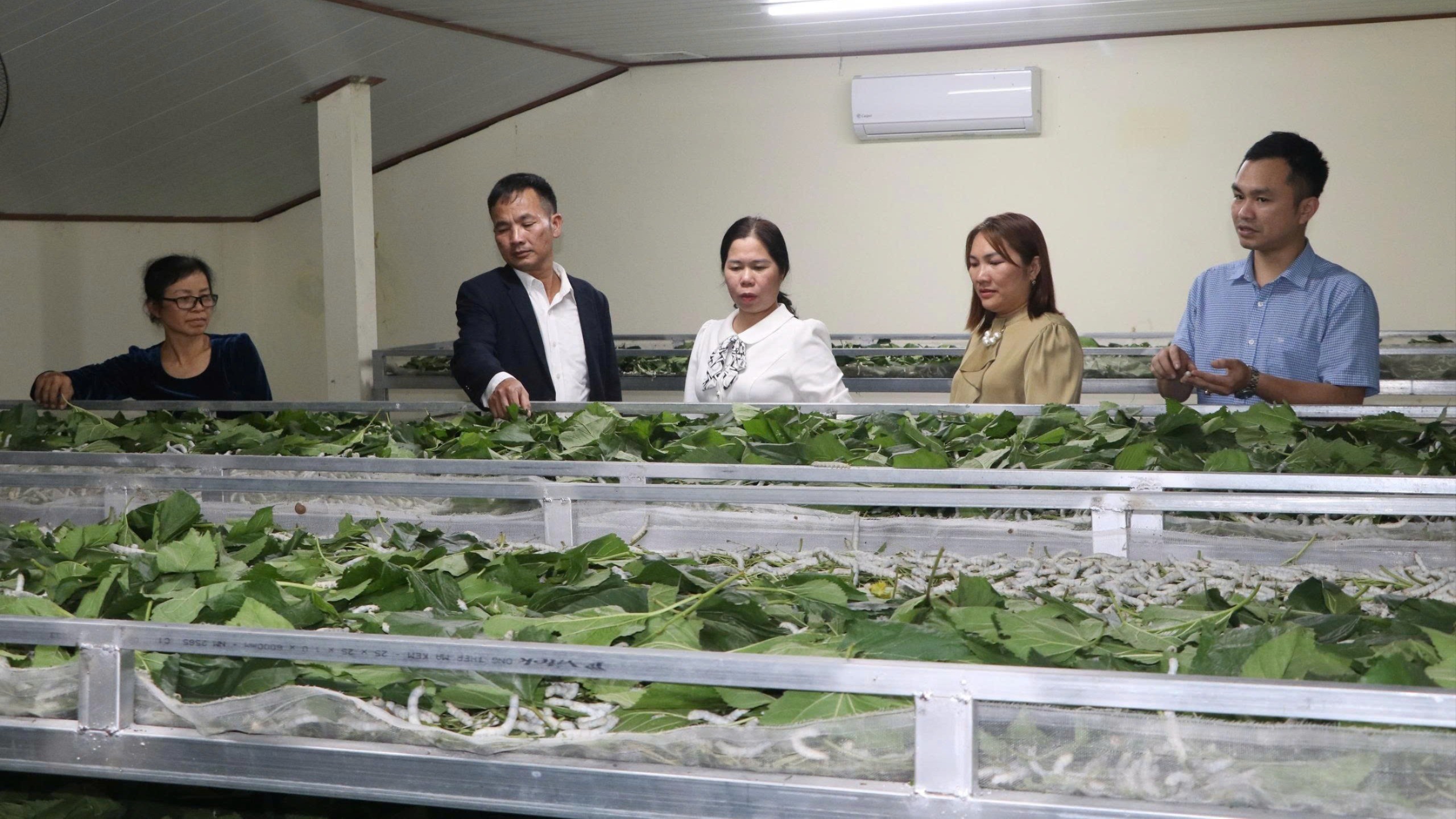 Quy Mông từ một xã thuần nông còn nhiều khó khăn trở thành địa phương năng động, từng bước khai thác hiệu quả tiềm năng, lợi thế sẵn có. a-5-17617071527771798535217-6370.jpg