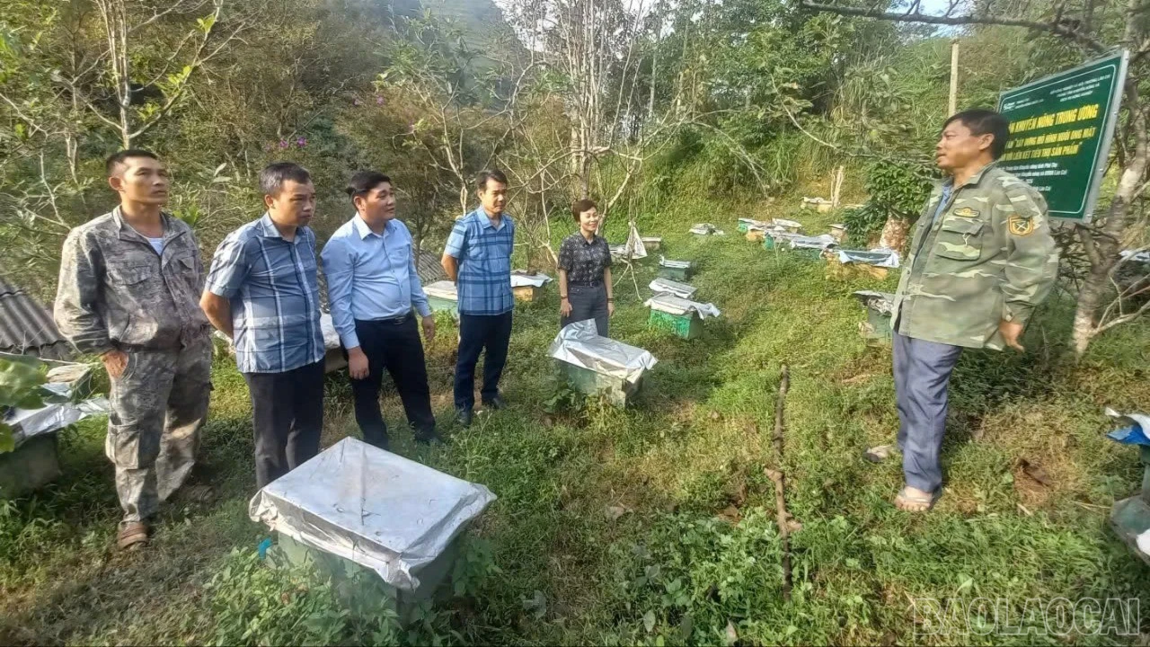 baolaocai-br-z7584917481988-b3dae7b5e71efc1344e1fe2bac6016fd.jpg