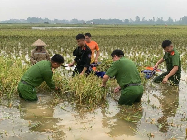Cán bộ, chiến sĩ Công an xã Trung Giã, TP Hà Nội hỗ trợ người dân thu hoạch lúa chạy lũ.