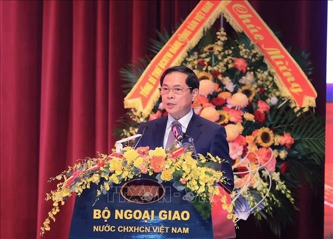 Phó Thủ tướng, Bộ trưởng Ngoại giao Bùi Thanh Sơn phát biểu.