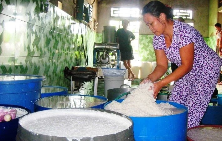 Làng nghề bún Vân Cù hiện có hơn 100 hộ tham gia sản xuất.