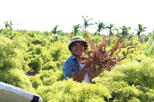 GACP-WHO (Good Agricultural and Collection Practices – Thực hành tốt trồng trọt và thu hái theo khuyến cáo của Tổ chức Y tế Thế giới) là bộ tiêu chuẩn quốc tế quan trọng để kiểm soát chất lượng dược liệu ngay từ khâu đầu vào.