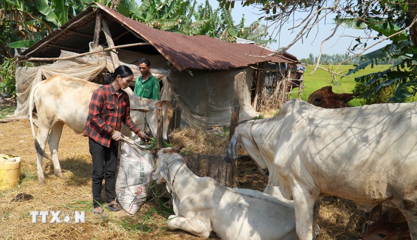 Các chính sách giảm nghèo được triển khai toàn diện, bao gồm tín dụng ưu đãi, dạy nghề.