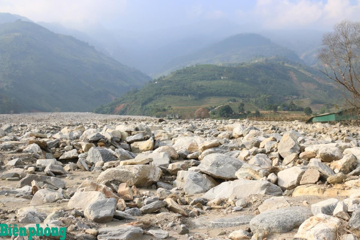 Cánh đồng lúa xanh tốt của người dân xã Trịnh Tường (cũ), tỉnh Lào Cai bị đất đá vùi lấp sau mưa lũ năm 2024 khiến sinh kế của người dân bị ảnh hưởng nghiêm trọng.