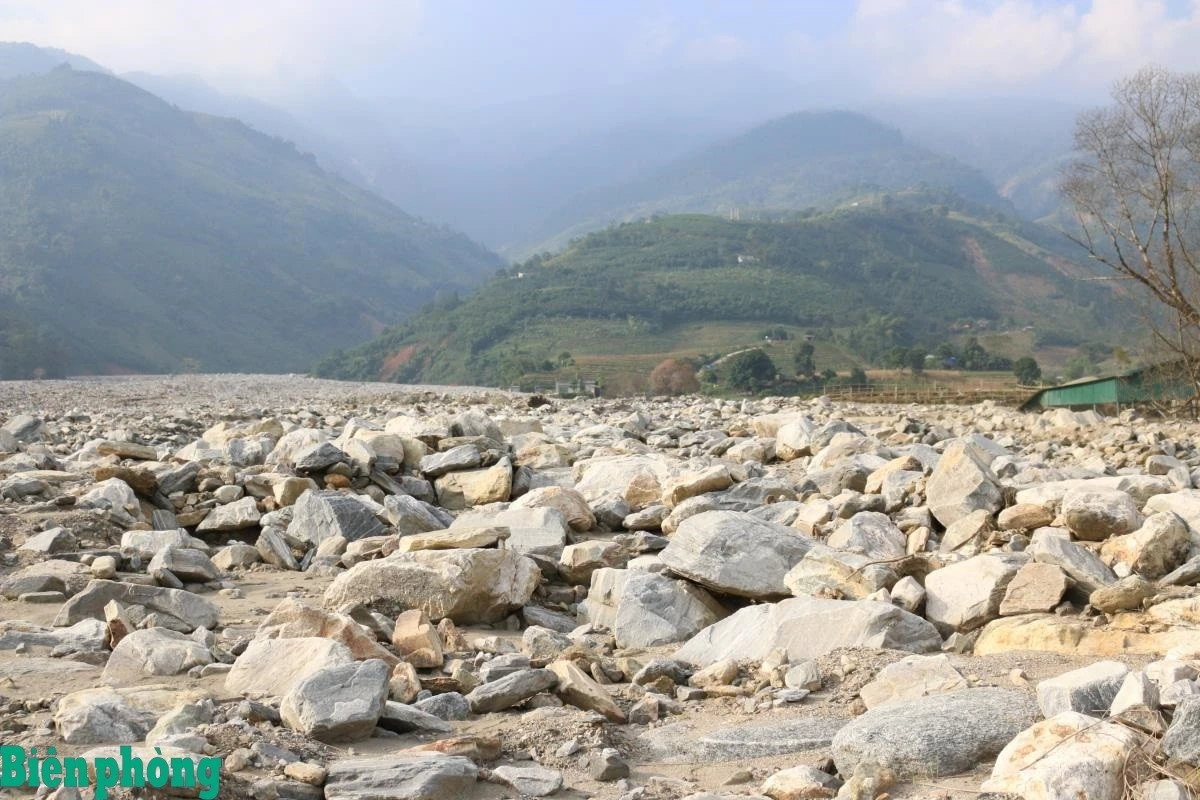 Cánh đồng lúa xanh tốt của người dân xã Trịnh Tường (cũ), tỉnh Lào Cai bị đất đá vùi lấp sau mưa lũ năm 2024 khiến sinh kế của người dân bị ảnh hưởng nghiêm trọng.