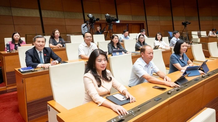 Các đại biểu Quốc hội biểu quyết thông qua luật tại kỳ họp thứ 9.