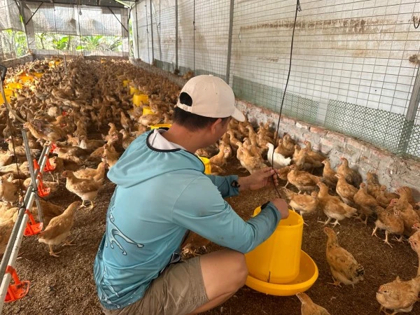 Chỉ vì ngại các thủ tục vay ngân hàng nên anh Hùng đã tìm đến dịch vụ vay tiền của “nhân viên ngân hàng” online và bị lừa.