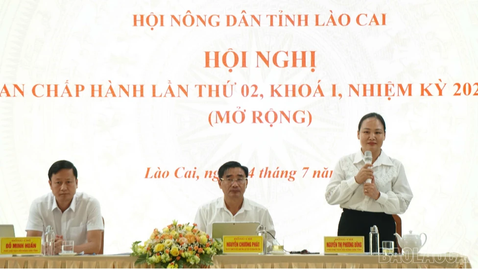 baolaocai-tr-1784024045726-6104592612896007281-6104592612896007281-374c1403ad1348b5de91127b585a28bf.png