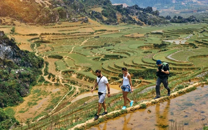 Trekking xuyên rừng núi và đồng lúa ở Sa Pa là một trong những điểm nhấn rất hút khách của các tour du lịch phía Bắc Việt Nam.