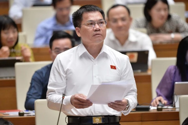 Đại biểu Dương Khắc Mai (đoàn Đắk Nông) phát biểu tại phiên họp.