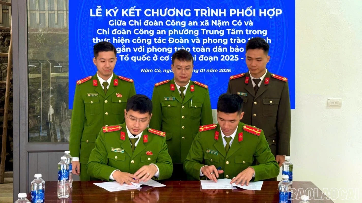 baolaocai-br-z7387378554271-4309eb6651d62e5a124d0e42f9ec04d1-8474.jpg