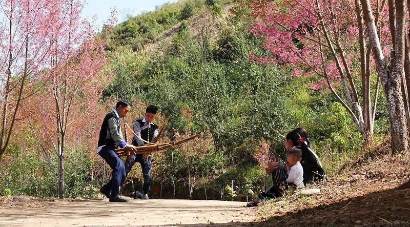 Hoa tớ dày gắn liền với đời sống văn hóa và không khí tết của đồng bào nơi đây.