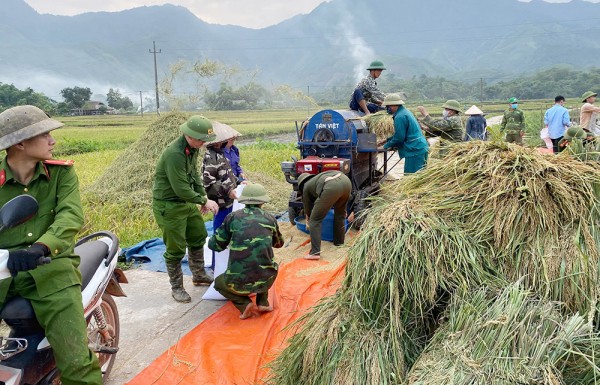 Witnessing the green color of soldiers' uniforms, combined with the green color of volunteers urgently helping people harvest crops, made many people emotional. Chứng kiến màu xanh áo lính, hòa cùng với màu xanh tình nguyện khẩn trương giúp dân thu hoạch vụ mùa khiến nhiều người dân không khỏi xúc động.